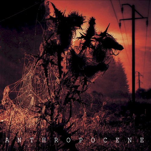 Anthropocene