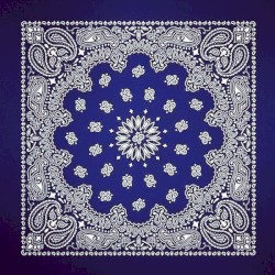 Blue Bandana