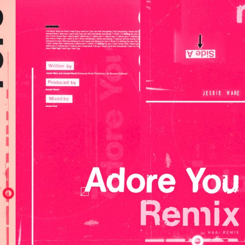 Adore You (HAAi remix)