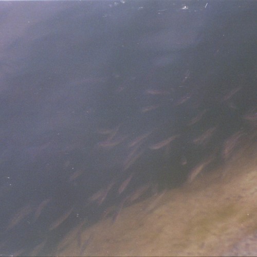Creek Tape, Vol. 1