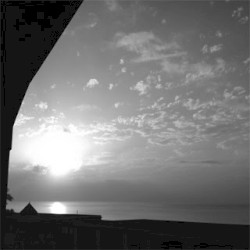 Vacu Sessions 29
