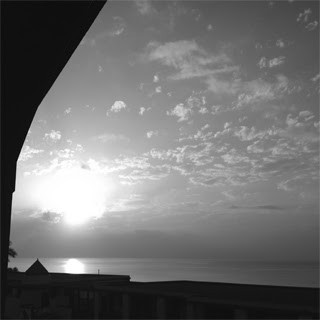 Vacu Sessions 29