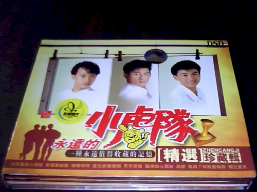 永远的小虎队精选珍藏辑