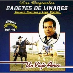 Un viejo amor / 14