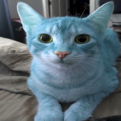 im so blue for you