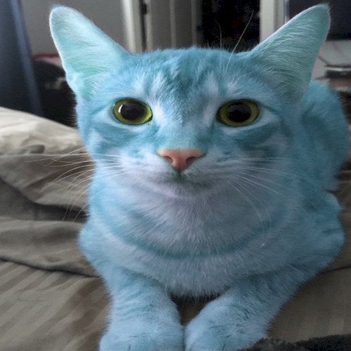 im so blue for you