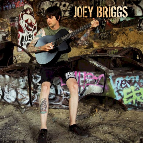 Joey Briggs
