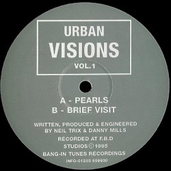 Urban Visions Vol. 1
