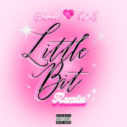 Little Bit (remix)