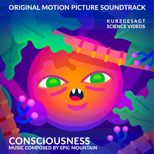 Consciousness