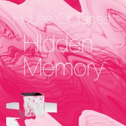 Hidden Memory