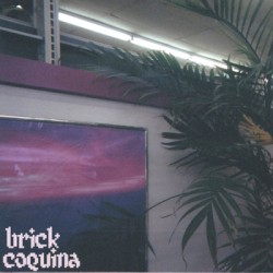 Brick Coquina