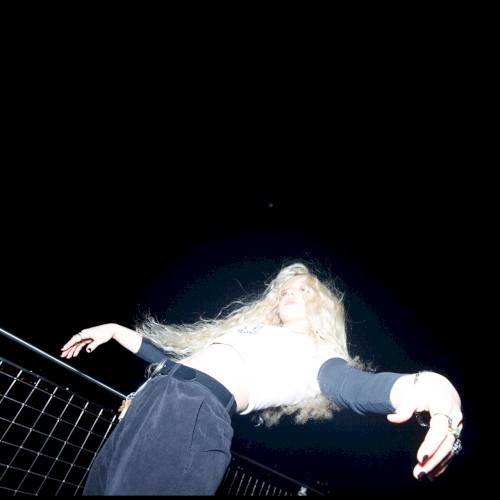 Celestial Sodomy
