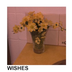 Wishes