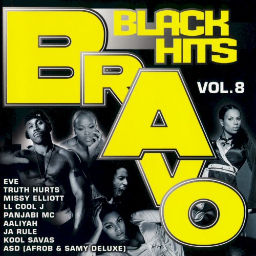 Bravo Black Hits, Vol. 8