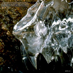 The Deathless Water Acts I-IV