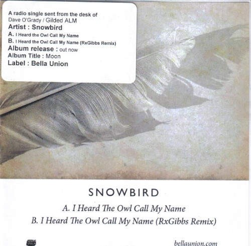 I Heard the Owl Call My Name