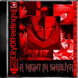 A Night In Shibuya