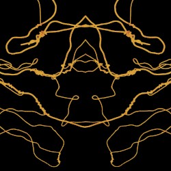 Year of the Fly Remixes