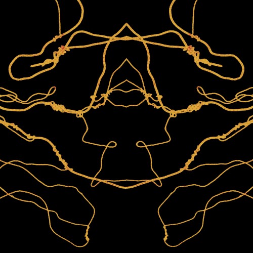 Year of the Fly Remixes