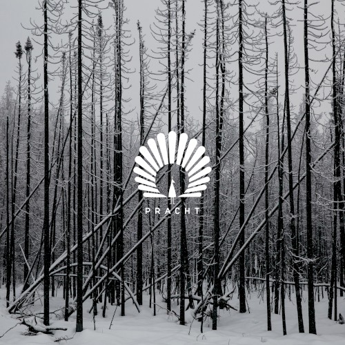 Royan (Nick Curly remix)