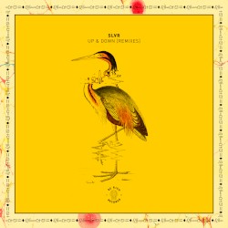 Up and Down (Remixes)