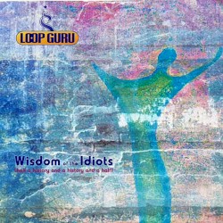 Wisdom of the Idiots: Half a History and a History and a Half