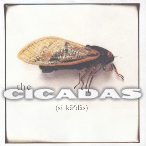 Cicadas