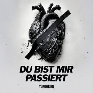 Du bist mir passiert