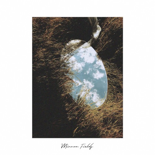 Mirror Fields
