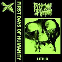 Lithic