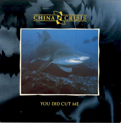 You Did Cut Me