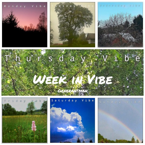 Week in Vibe