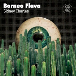 Borneo Flava