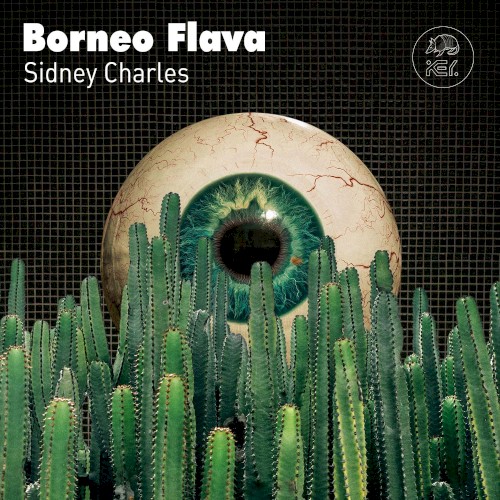 Borneo Flava