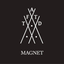 Magnet