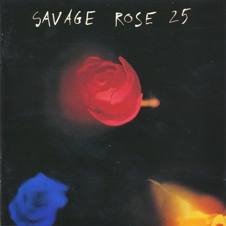 25