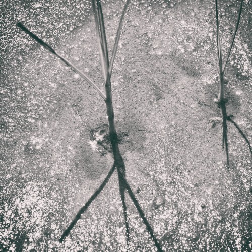 B‐Side