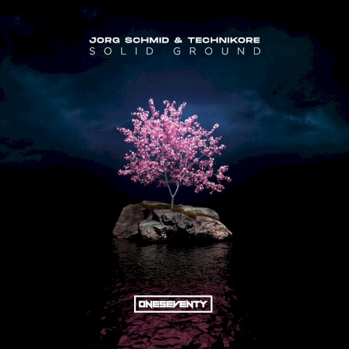Solid Ground