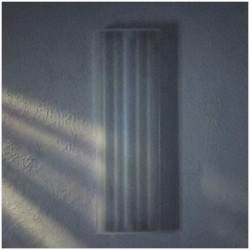 Tractrix λ