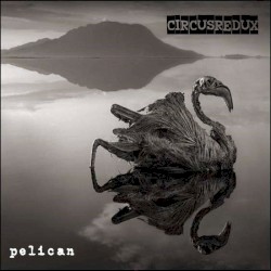 Pelican