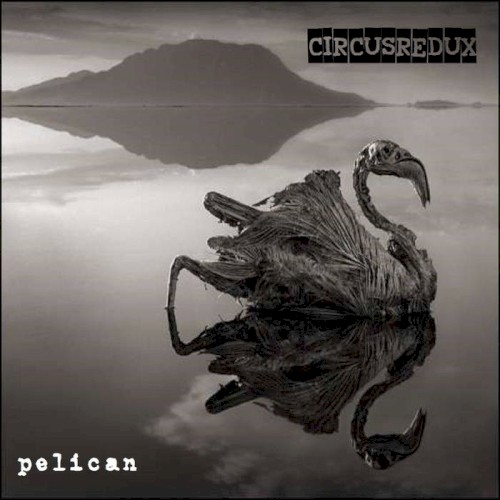 Pelican