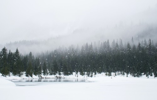 Winter Drones