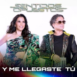Y Me Llegaste Tú