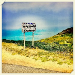 Defunct Summer