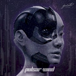 Pulsar Wind