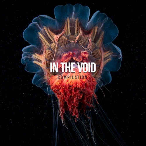 In the Void: Compilation