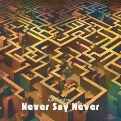 Never Say Never