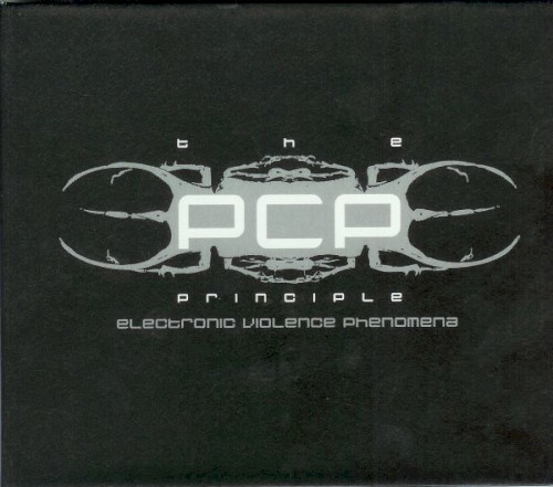 Electronic Violence Phenomena