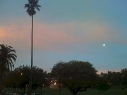 The Dolores Park